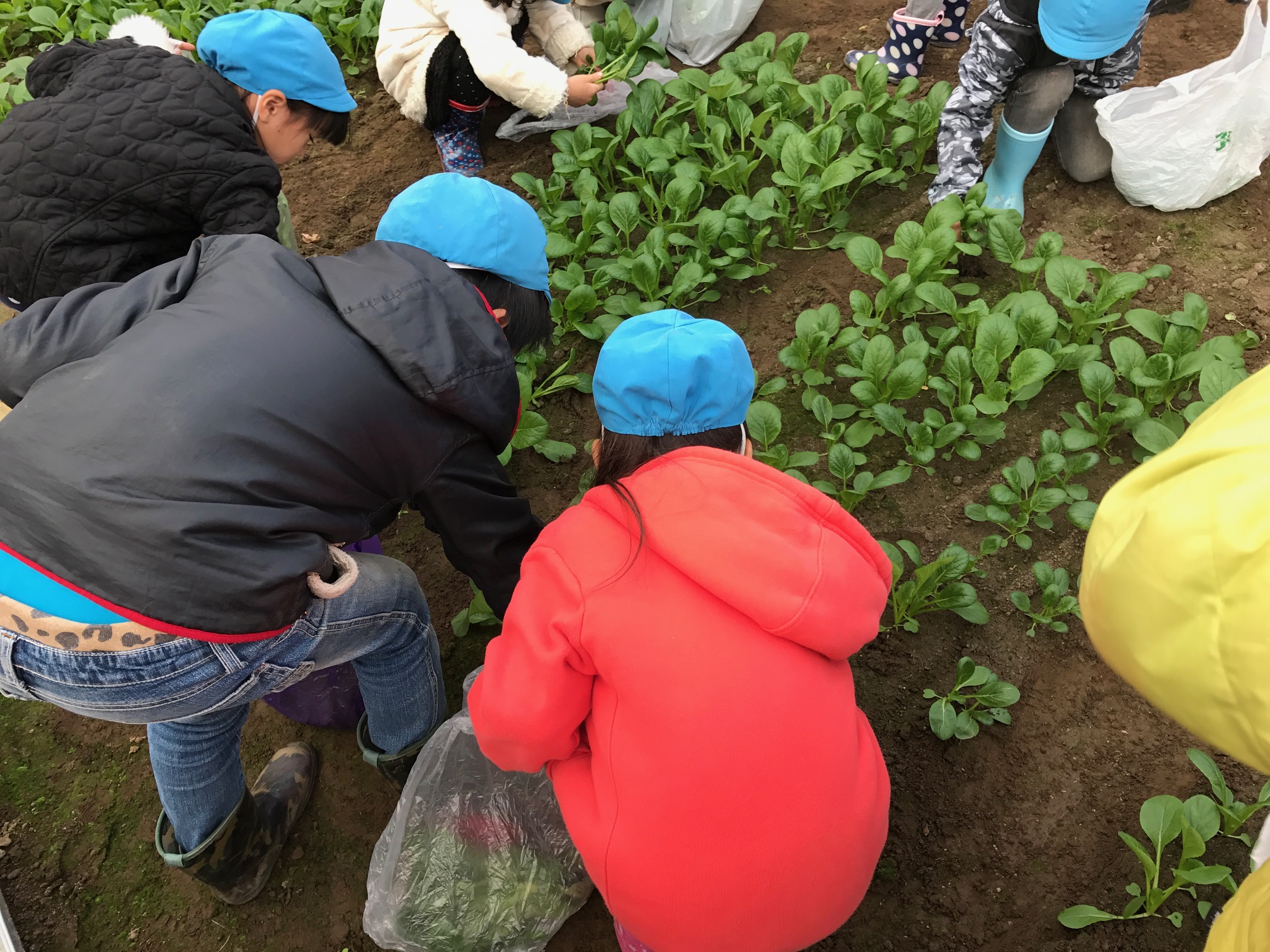 六木保育園1 六木保育園1