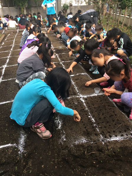 農業見学 農業見学