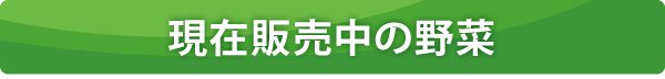 現在販売中の野菜 現在販売中の野菜