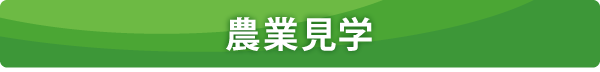 農業見学 農業見学